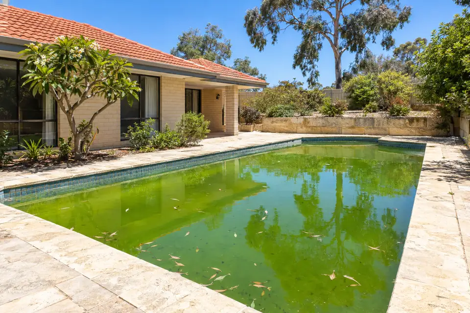 Backyard pool with bright green water beside a cream brick home with limestone paving