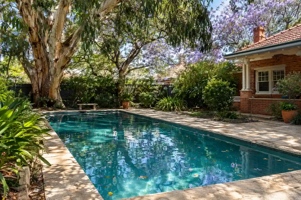 Pool under gum trees and a jacaranda beside an older red brick home