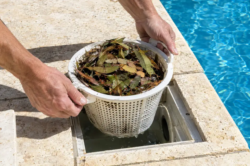 Hands lifting a skimmer basket full of gum leaves out of a skimmer box