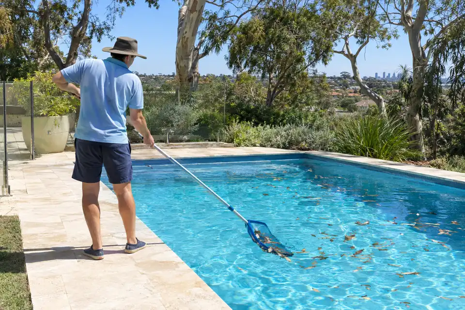 Person skimming leaves off a backyard pool with a long leaf net